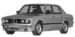 BMW E28 U213C Fault Code